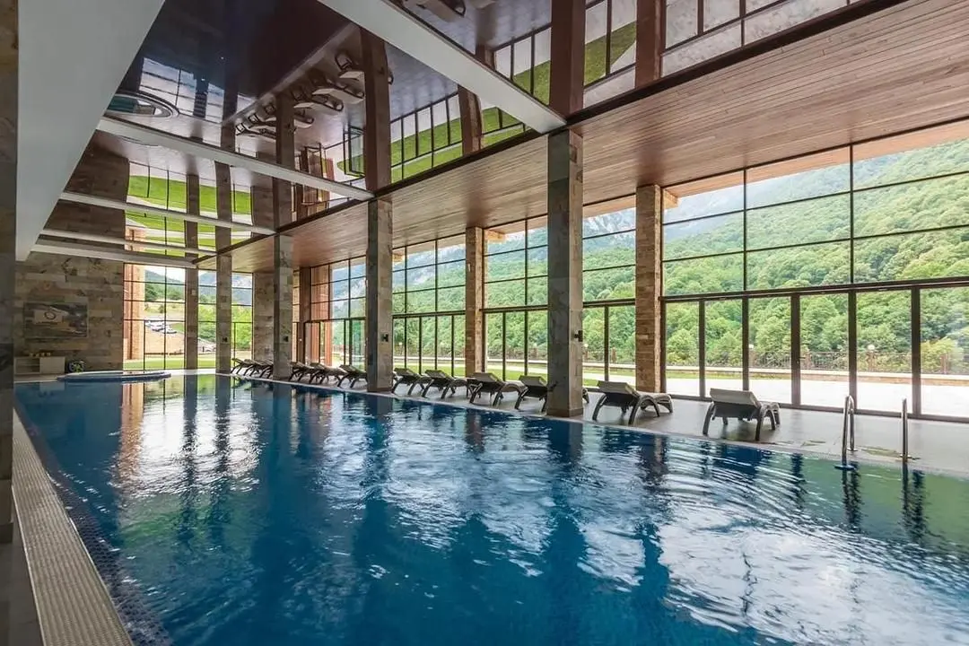 Бассейн | Forrest Terrace Hotel, Республика Северная Осетия (Алания)