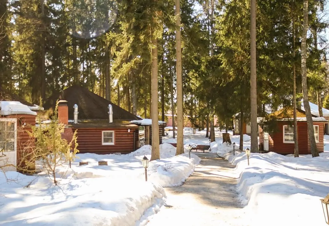 Ruza Forest, Московская область: фото 4