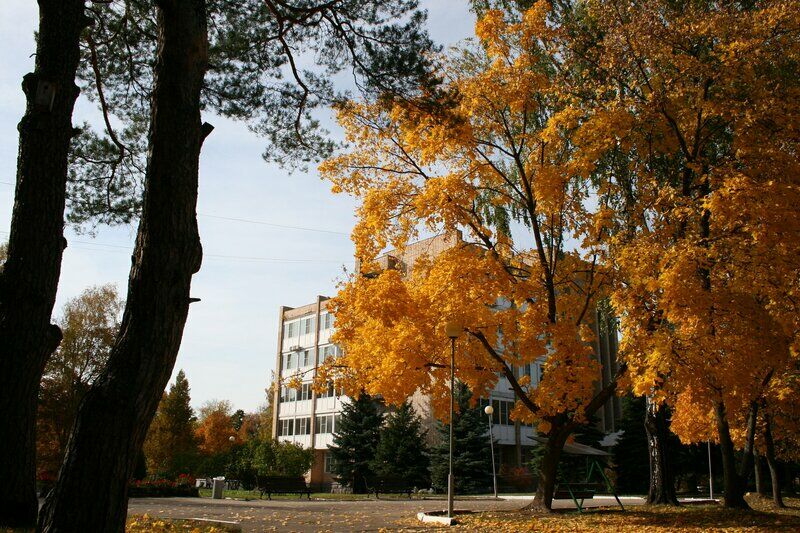 Солотча, Рязанская область: фото 3