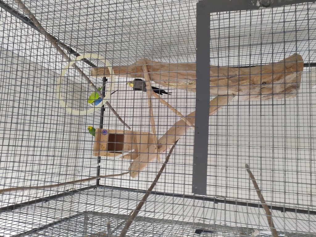 Фото из отзыва от 13.03.2023