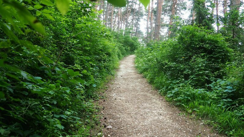 Терренкур № 2