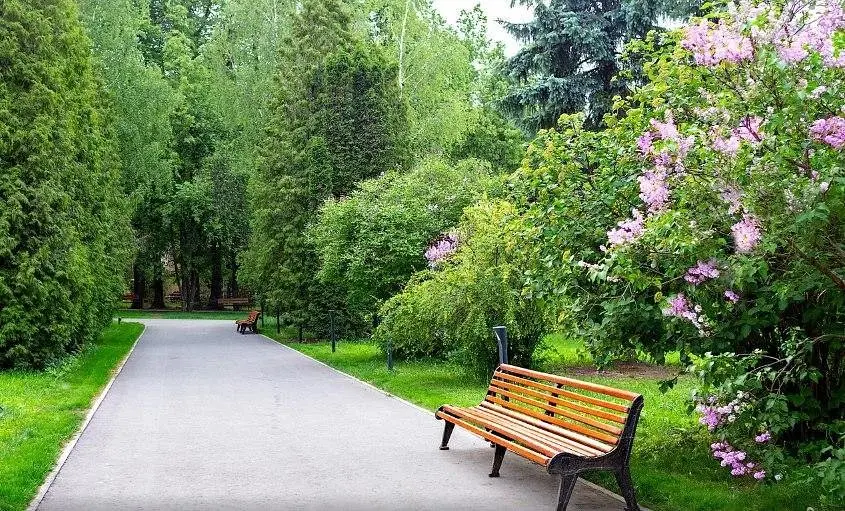 Дом Творчества Гостелерадио, Московская область: фото 4