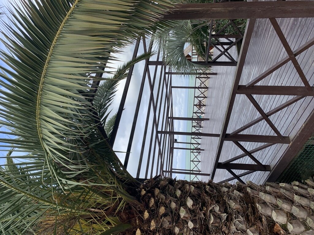 Фото из отзыва от 18.03.2023