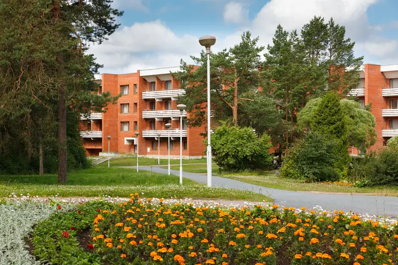 Белые ночи, Ленинградская область: фото 4