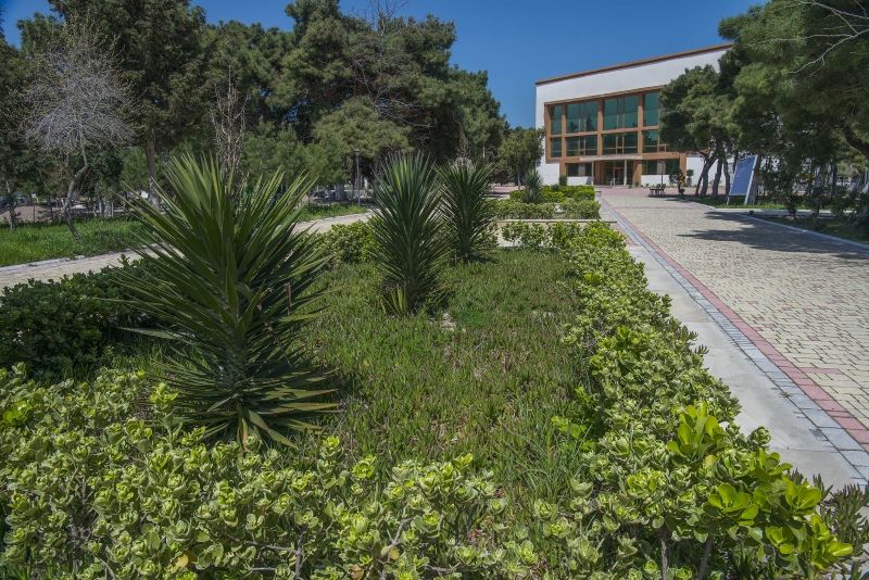 Территория | Неврологический санаторий Гюнешли, Бакинский экономический округ