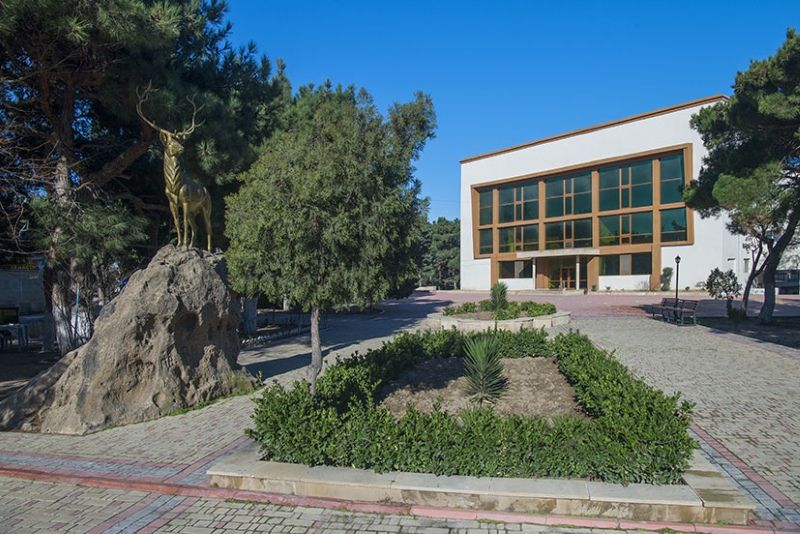 Территория | Неврологический санаторий Гюнешли, Бакинский экономический округ