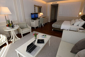 Suite 2-местный junior, 1-комнатный номер, Отель Garabagh Resort & SPA, Нафталан