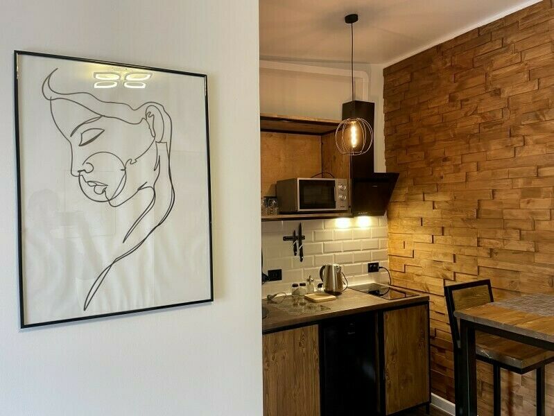 Апартаменты 2-местный (Лофт S)