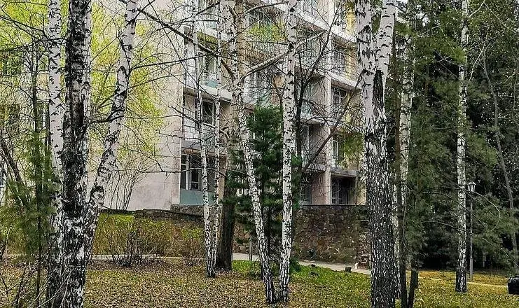 Ельцовка, Новосибирская область: фото 5