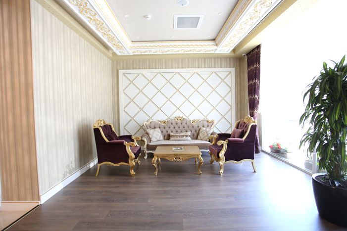 Холл | Opera Hotel, Бакинский экономический округ