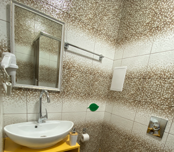 Люкс 2-местный 1-комнатный