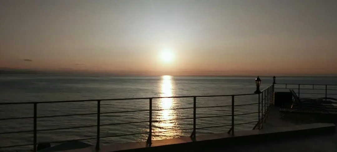 Море | Флора, Крым