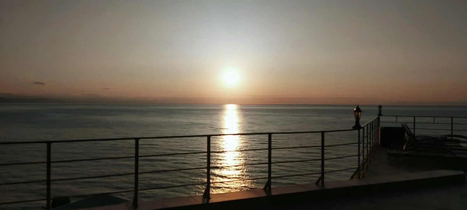 Море | Флора, Крым