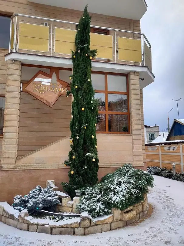 Территория | Кипарис, Краснодарский край