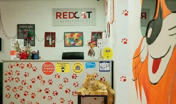 Хостел RedCat, Сочи, Краснодарский край