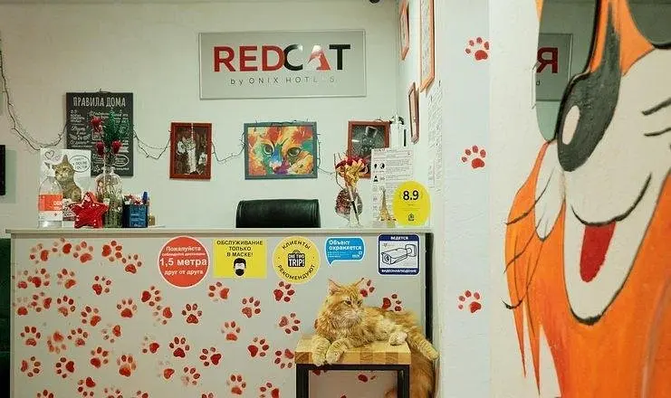 Хостел RedCat, Сочи, Краснодарский край