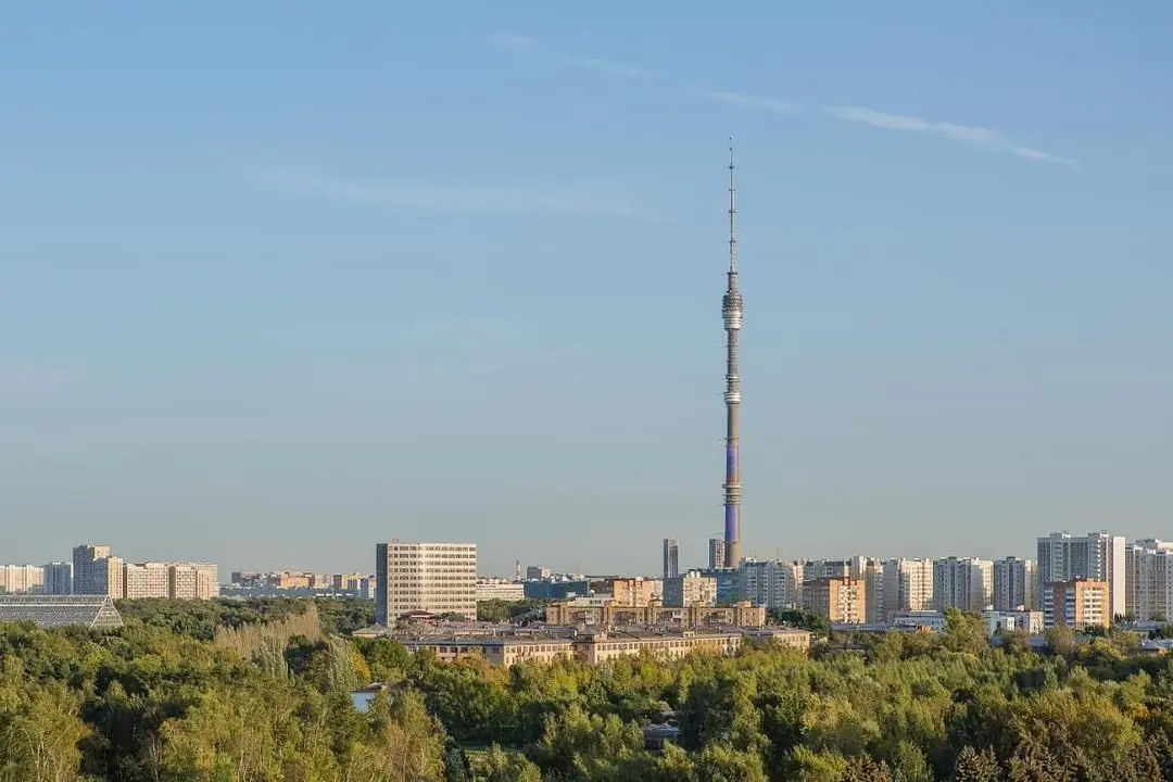 Вид | Sky garden, Московская область