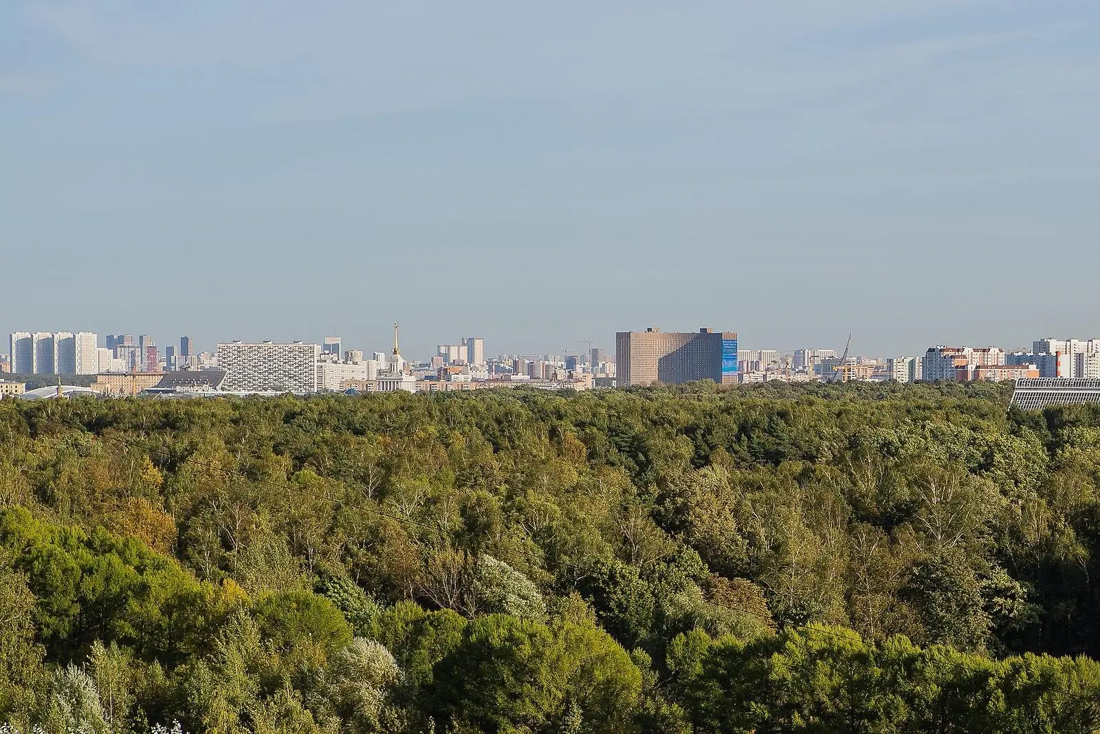 Вид | Sky garden, Московская область