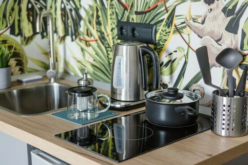 Студио 2-местный (с диваном)