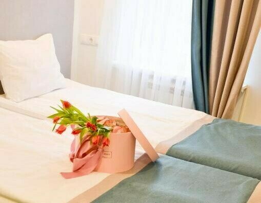 Стандартный 2-местный (TWIN)