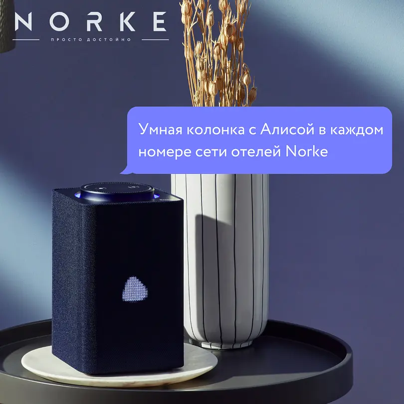 Станция Яндекс Алиса | Norke prime Китай Город, Московская область