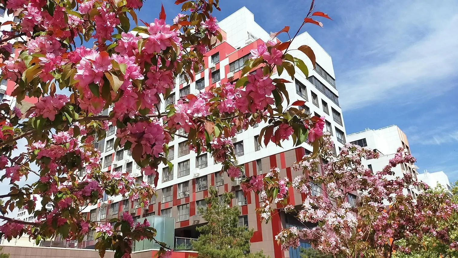 Внешний вид | Кино-апарт, Московская область