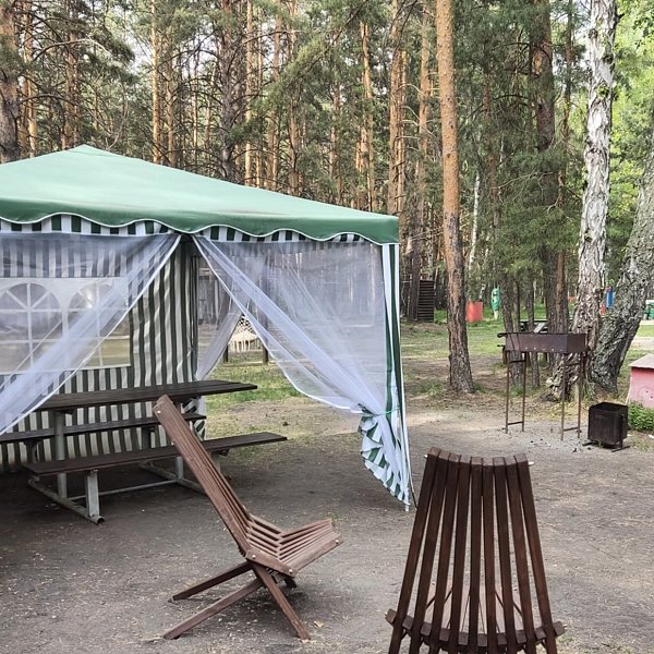 Домик в лесу, Челябинская область: фото 3