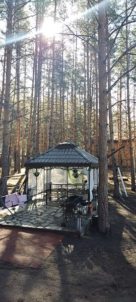 Домик в лесу, Челябинская область: фото 4