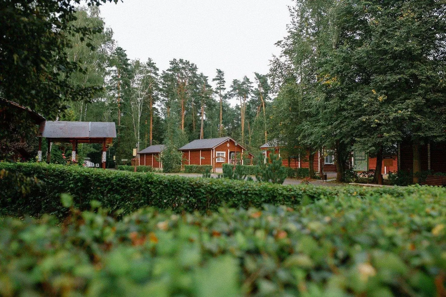 Вятичи ECO Resort & Medical SPA, Калужская область: фото 4