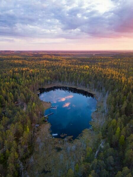 Forest Lake, Ленинградская область: фото 4