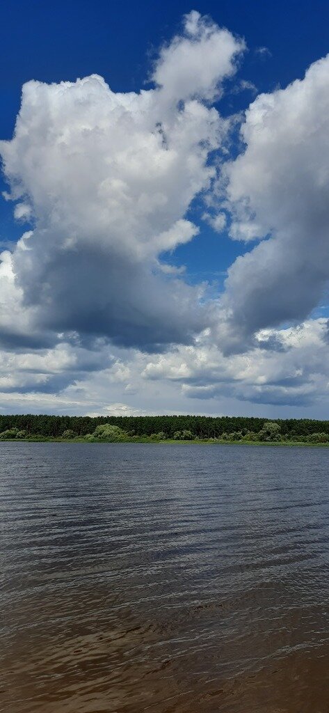 Фото из отзыва от 16.07.2023