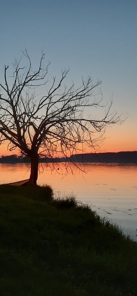 Фото из отзыва от 16.07.2023