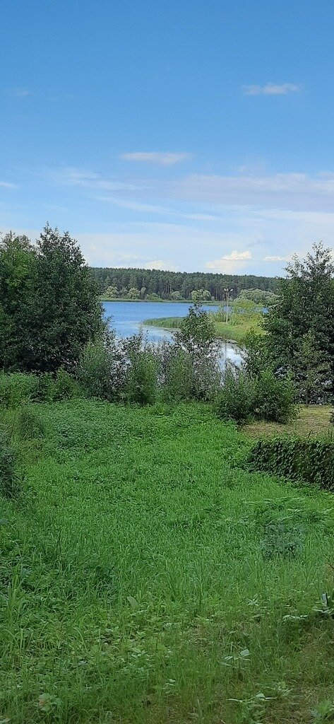 Фото из отзыва от 16.07.2023