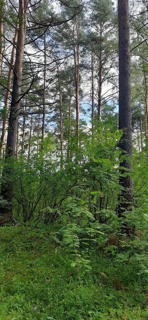 Фото из отзыва от 16.07.2023