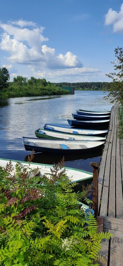 Фото из отзыва от 16.07.2023