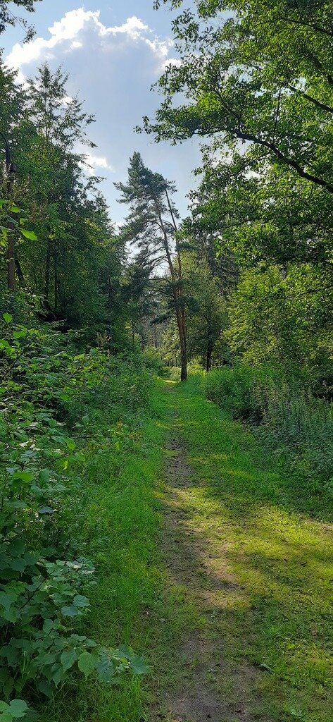 Фото из отзыва от 16.07.2023