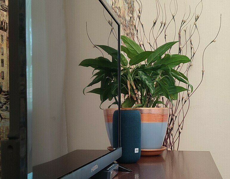 Супериор Семейный 4-местный 2-комнатный (Yellow)