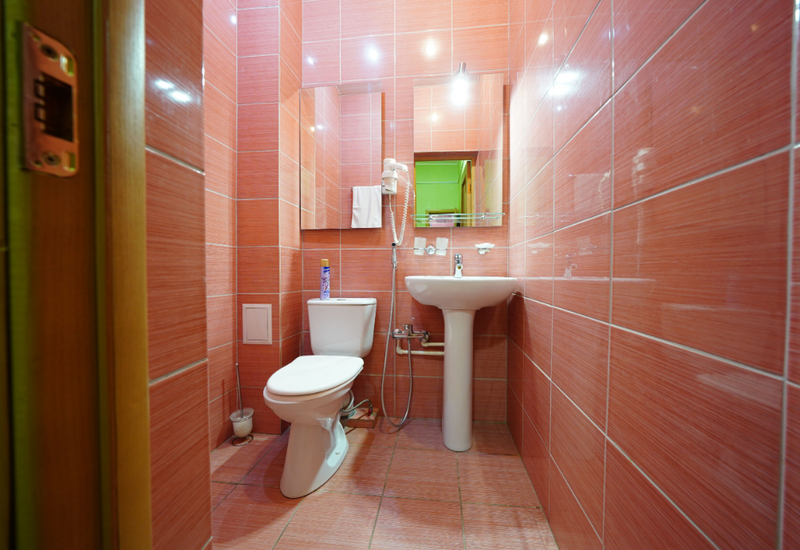 Полулюкс 2-местный