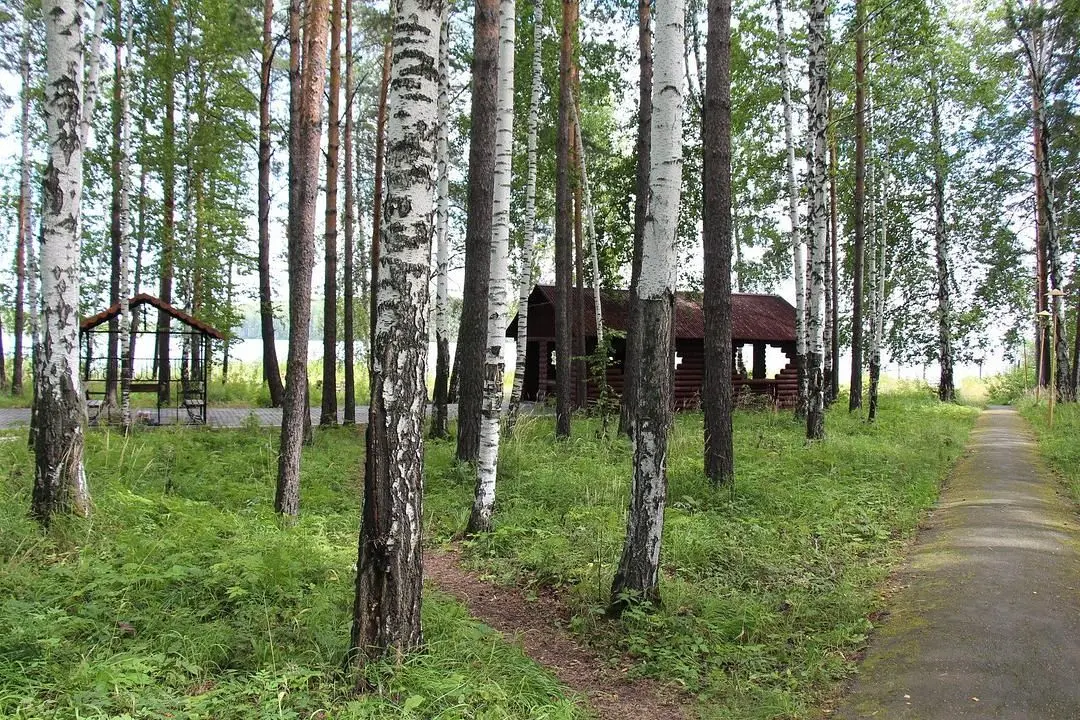Территория | Уральские Зори, Свердловская область