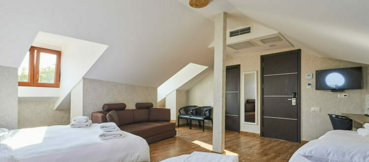 Family 2-местный