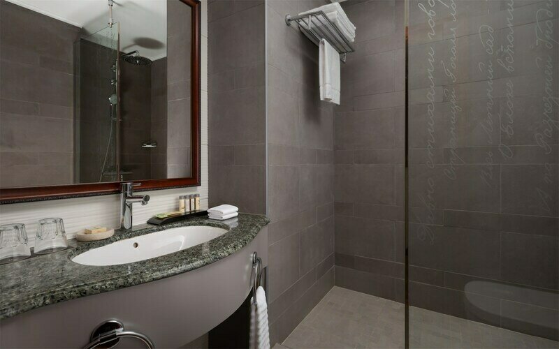 Делюкс 2-местный (TWIN c видом на атриум)