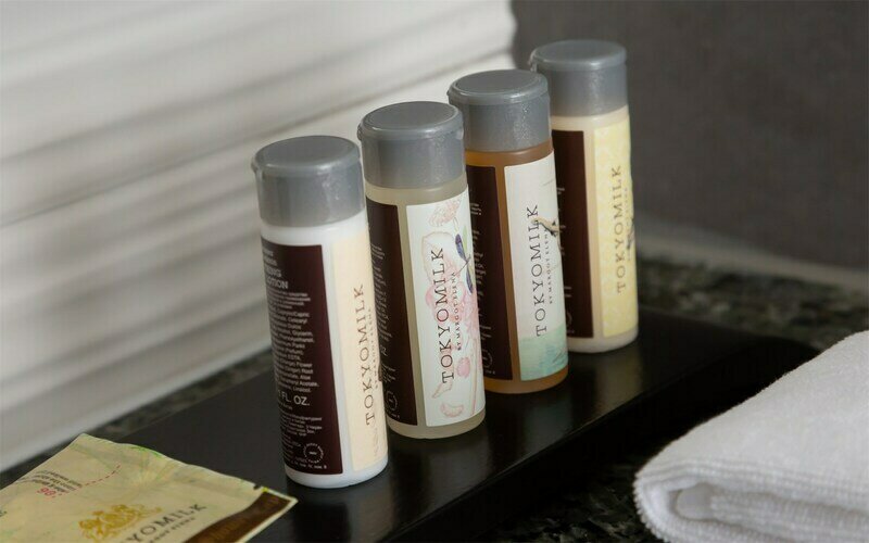 Люкс 2-местный (с видом на Исаакиевский собор)