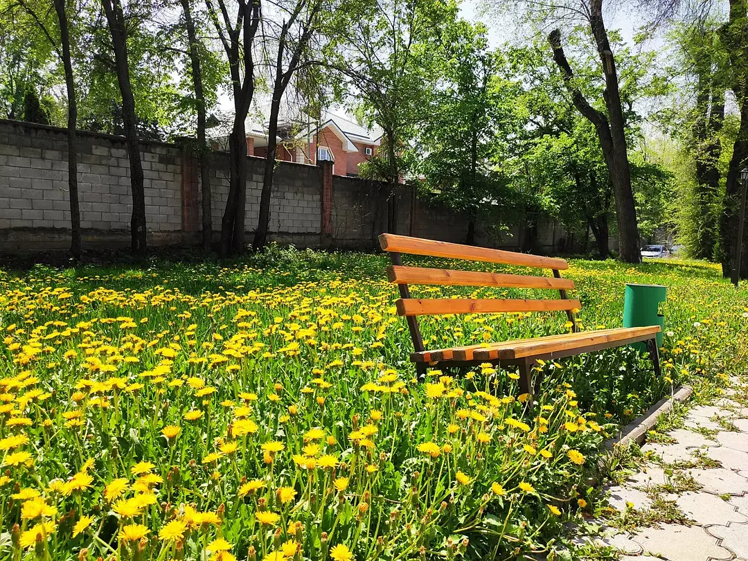 Казахстан, Алматинская область: фото 3