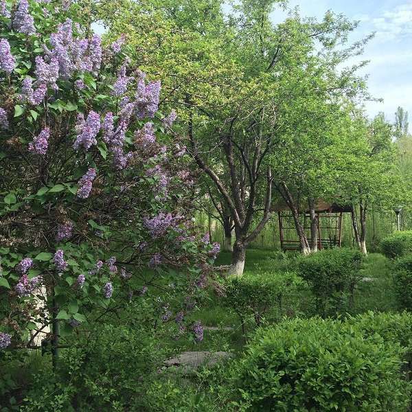 Каратал, Алматинская область: фото 4