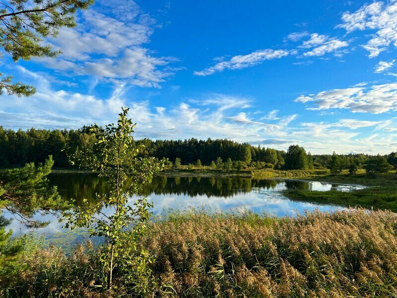 Черепашьи озёра, Нижегородская область: фото 4