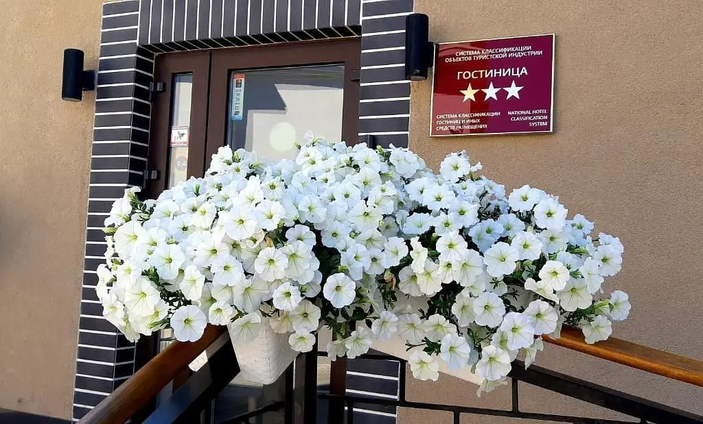 202636742 | Геркулес, Калининградская область