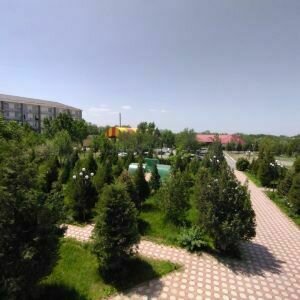 Ак Шуак, Кызылординская область: фото 4