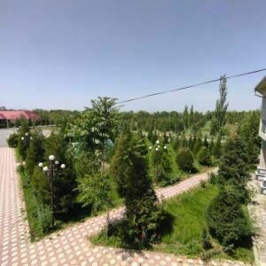 Ак Шуак, Кызылординская область: фото 5