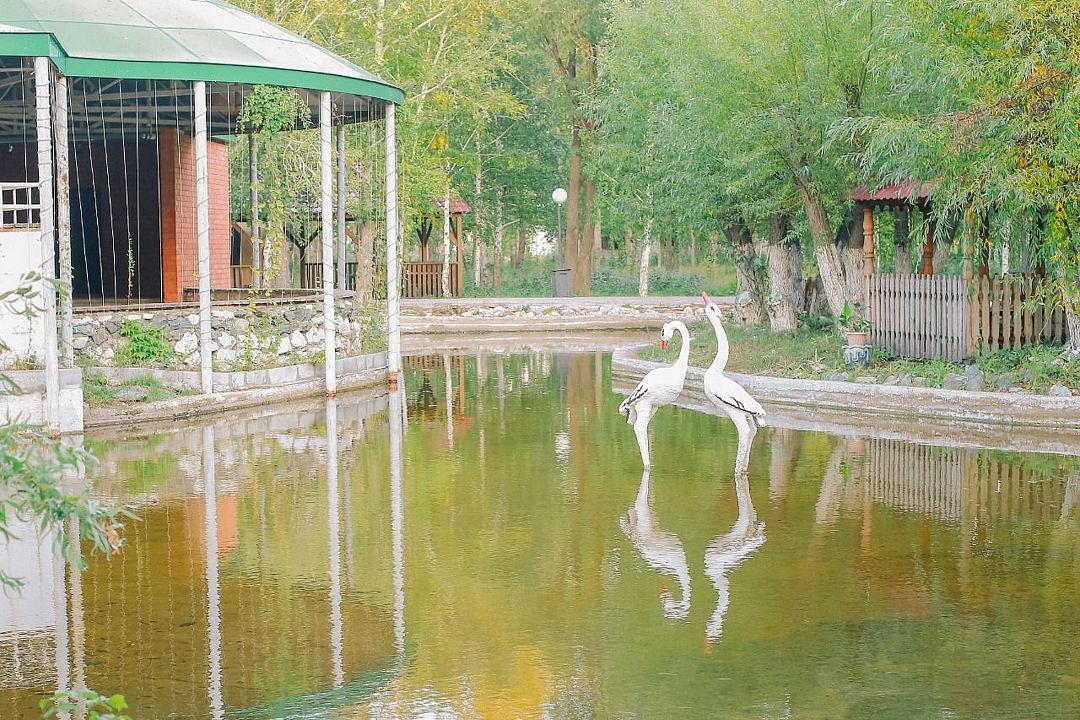 Мойылды, Павлодарская область : фото 5