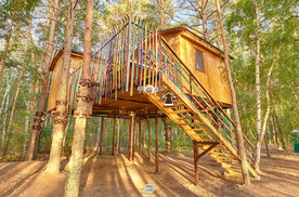 Домик на дереве, Санаторий Aurora Garden Family Resort